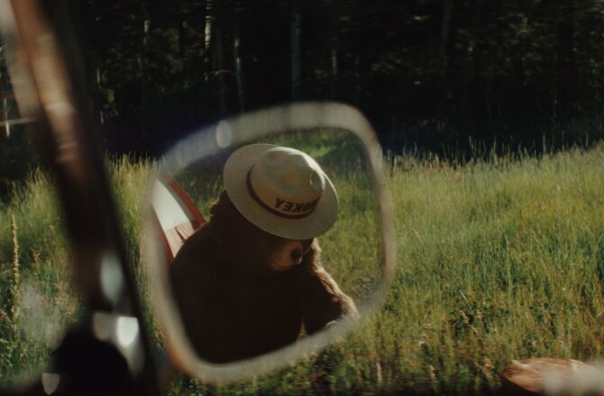 TK Image 1.jpg
