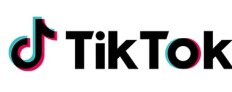 Tik Tok Horizontal Logo